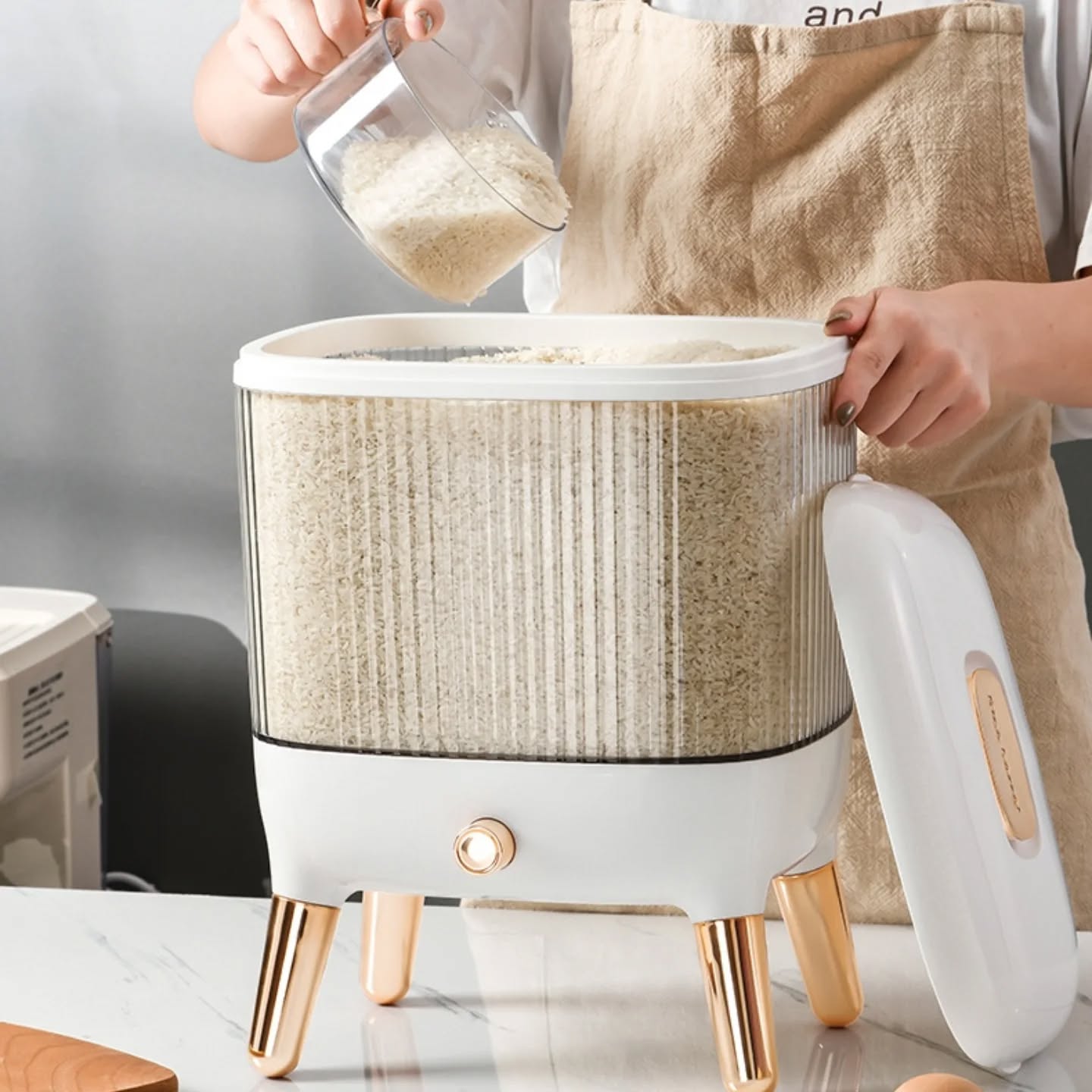 20Kg Rice Storage Container - My Store