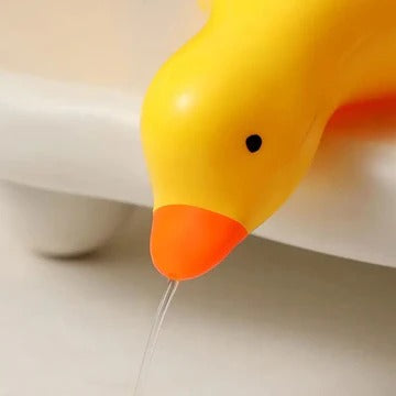 Duck Soap Dish