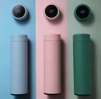 Stainless Steel Temperature Water Bottle 500Ml