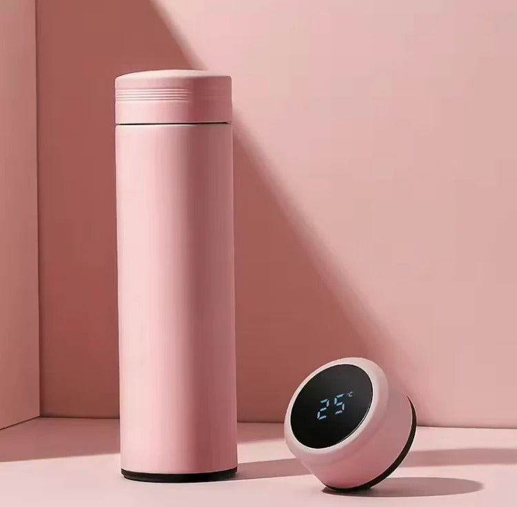 Stainless Steel Temperature Water Bottle 500Ml