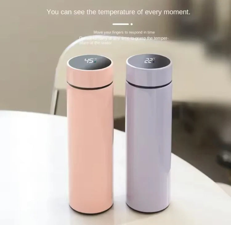 Stainless Steel Temperature Water Bottle 500Ml