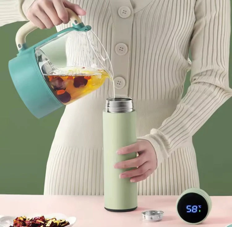 Stainless Steel Temperature Water Bottle 500Ml