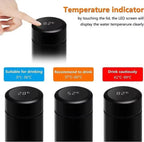Stainless Steel Temperature Water Bottle 500Ml