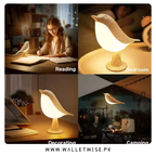 Cute Bird LED Table Lamp – Rechargeable Cordless Touch Night Light