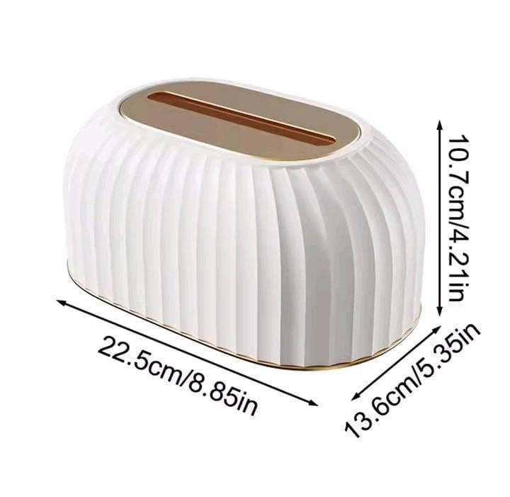 Light Luxury Tissue Box with Spring