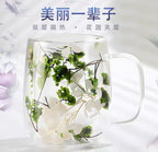 🌸 Double Wall Glass Mug with Dried Flowers (450ml)