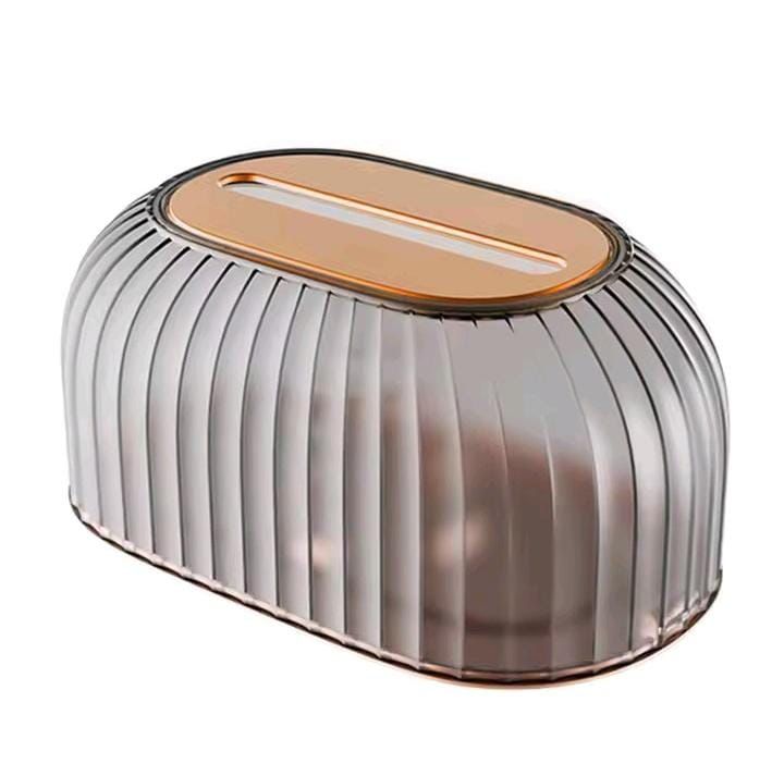 Light Luxury Tissue Box with Spring