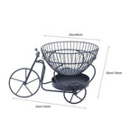 Tricycle Design Fruit Basket - My Store