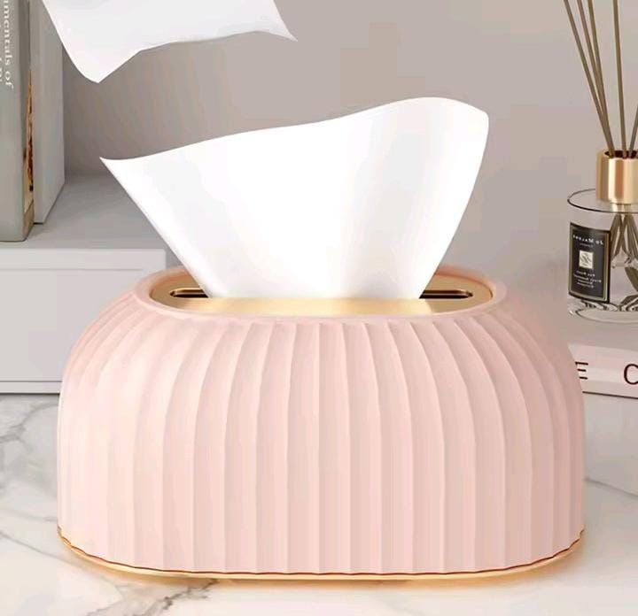 Light Luxury Tissue Box with Spring